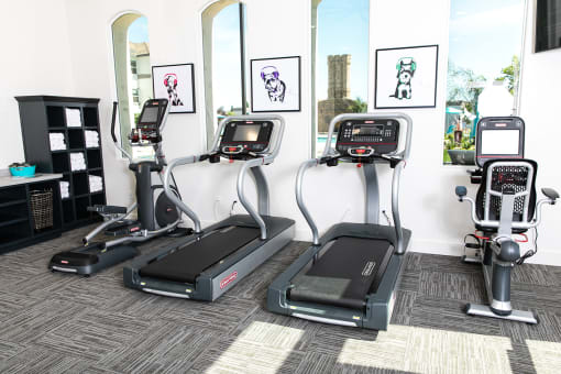 Apartments for Rent in Rocklin CA - The James - FPI - Fitness Center with Exercise Equipment
