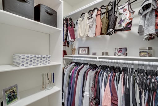 Abundant Storage Including Walk-In Closets at Park Merridy, California, 91325