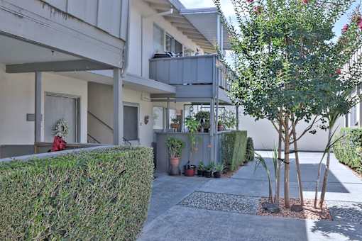 A tree with green leaves is planted in a concrete ground.