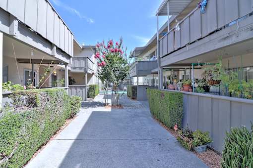 A sunny day at a residential complex with a pathway and greenery.