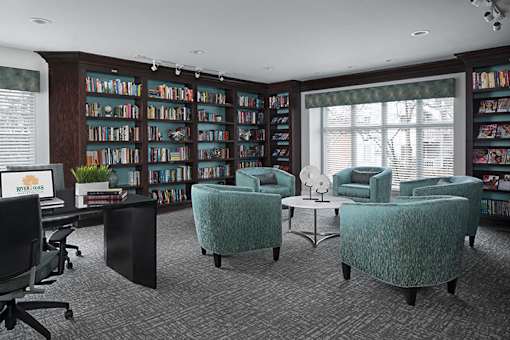 Quiet, Private Library