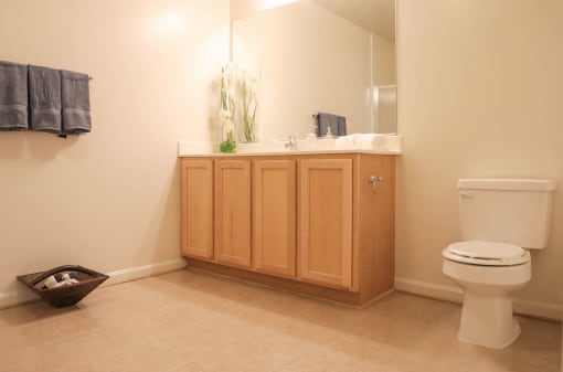 Signature Bath at Symphony Center Apartments, Baltimore, 21201