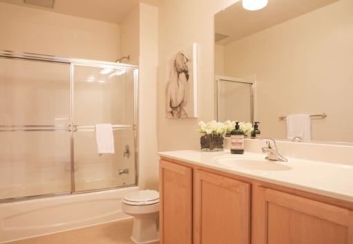 Large Regal Shower and Bath at Symphony Center Apartments, Baltimore, MD, 21201