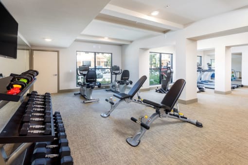 Springville Seniors Apartments Community fitness center with free weights