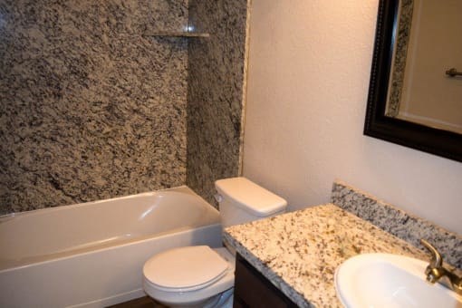 View of bathroom with vanity, stone counters, toilet, and tub shower combo
