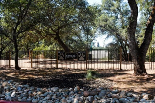 View of gated dog park