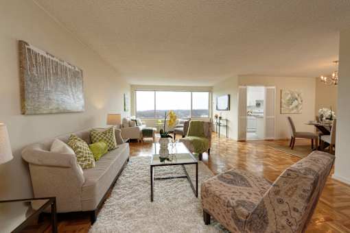 One Bedroom - Living Room