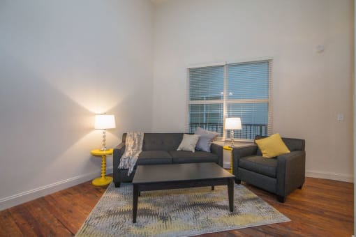 Living Room in Iron House Apartments in Richmond VA