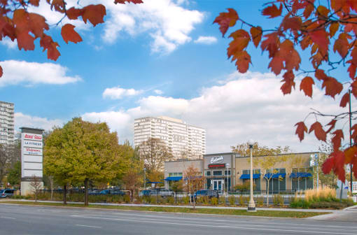 lake meadows shopping center culver's at Eden Commons, Chicago, IL, 60616