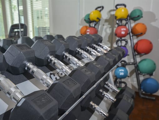 Free Weights at Lucero, San Antonio, TX