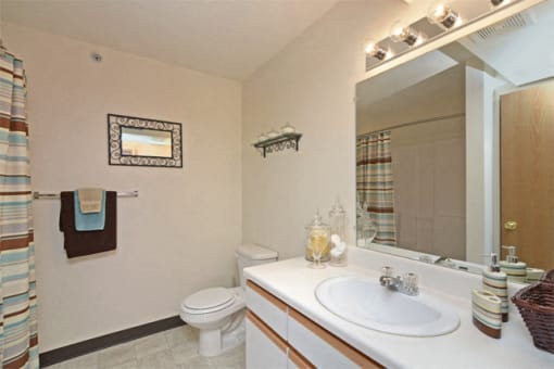 Bathroom at Grissom Estates Apartments in Cicero,  IN  46034