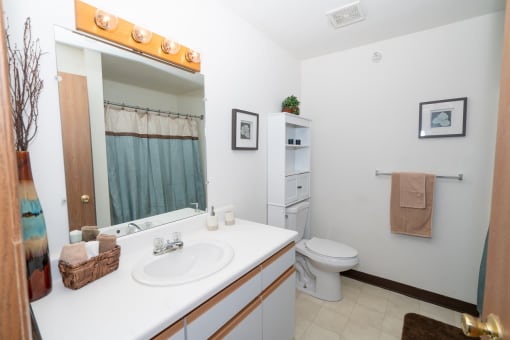 Luxurious Bathroom at Morris Estates Apartments, Hopkinsville, KY, 42240