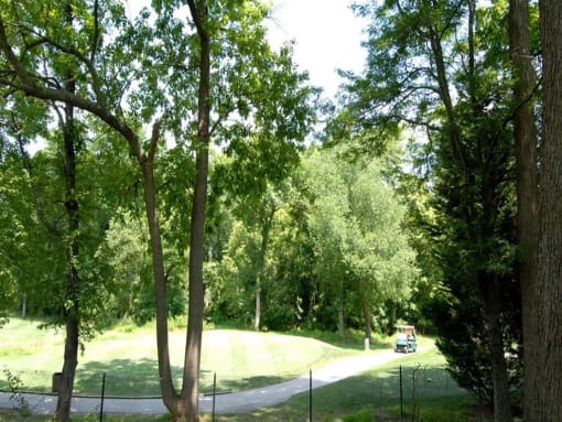 Tree lined pathways through the community at The Brook At Columbia Apartments, Columbia