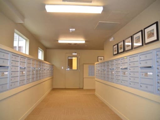 Mail Boxes at VINTAGE AT LAKEWOOD SENIORS Apartments, Washington, 98271