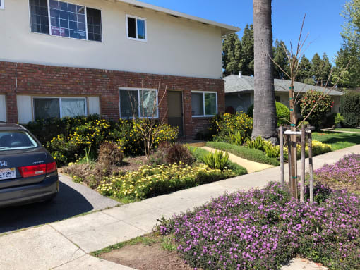 A white and brick apartment community with a a bed of yellow flowers in the front lawn and purple flowers the front view of Prodesse Property Group 1007 Leigh AvenueSan Jose, CA 95128