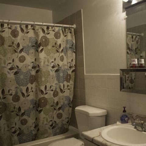 a bathroom with a sink toilet and shower curtain