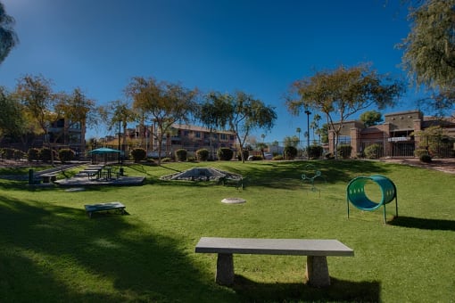 Pet-Friendly Park at Residences at FortyTwo25, Arizona