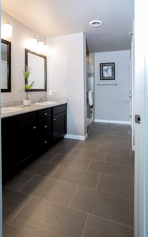 Master Bathroom, double vanity
