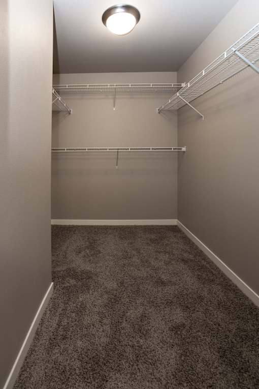 Closet, walk in closet