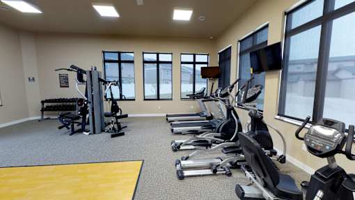 treadmill, eliptical, bike, weight machine