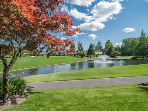 Beautiful Lake View at Summerfield, Tigard,Oregon