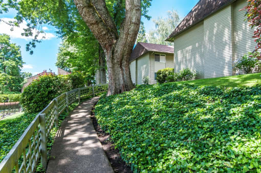 Meandering Pathway at Garden Park, Portland, OR