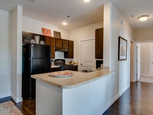 Rich Shaker Style Cabinetry at La Contessa Luxury Apartments, Laredo
