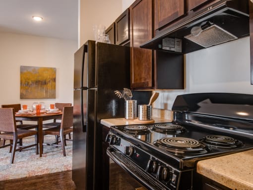 Over-the-Range Microwaves at La Contessa Luxury Apartments, Texas, 78045