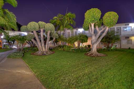 Courtyard 2