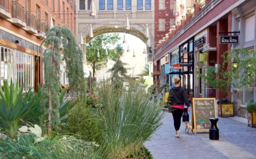 Vibrant and Active Neighborhood at The Brody, Maryland
