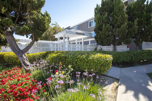 Main pool entry and landscapings