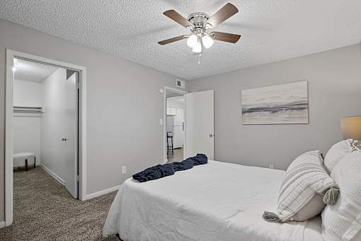 Spacious bedroom with walk-in closet entry and natural light