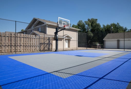 basektball court