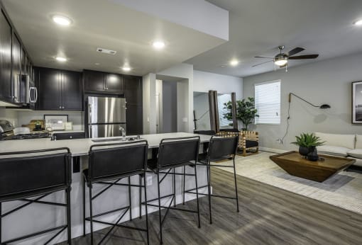 Kitchen and Bar