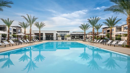 Pool and Palm Trees