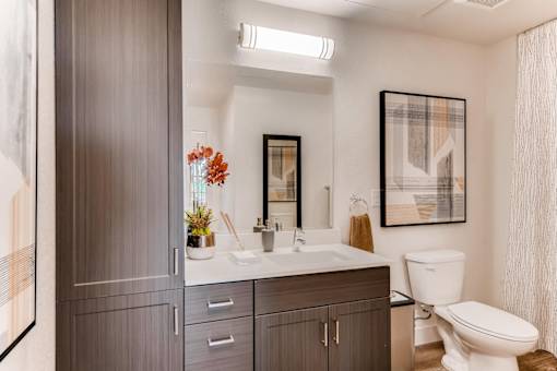 Bathroom with cabinet at Auburn Brook, Castle Rock, CO