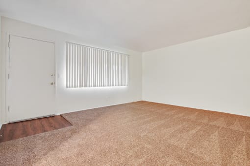 Living room with carpeted floors, wood style floors on the door entry area