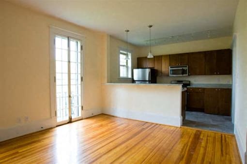 kitchen and balcony doors
