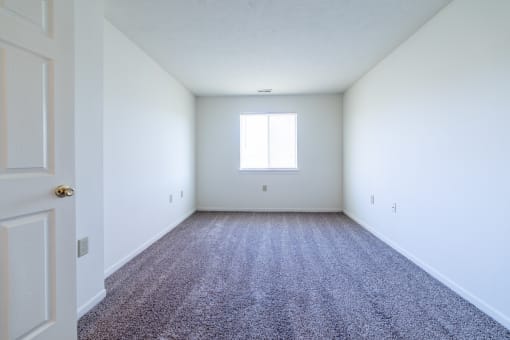 Bedroom with window and carpet