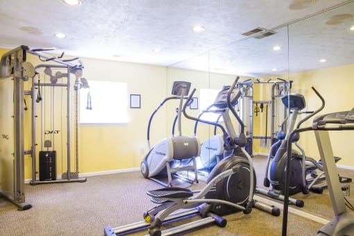 gym equipment fitness center at Northlake Farms Apartments, Illinois 60031