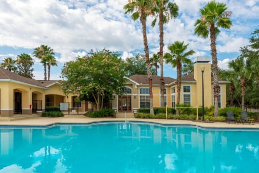 Swimming Pool with Office Exterior and Palm Trees