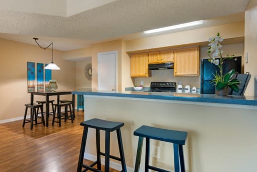 Open Layout Furnished Dining and Room Kitchen with Breakfast Bar