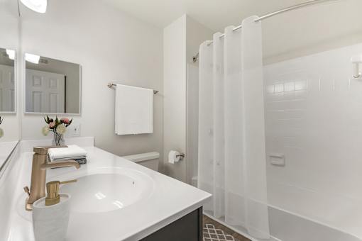 Bathroom With Bathtub at The Apartments at Tamar Meadow, Columbia, 21045