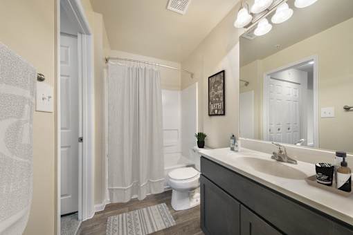 Bathroom at The Apartments at Owings Run, Owings Mills
