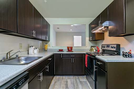 Kitchen with cabinets and lights at The Apartments at Owings Run, Owings Mills, MD