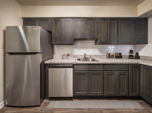 Appliances in the kitchen at The Apartments at Owings Run, Owings Mills, 21117