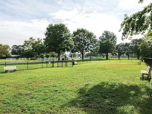 Green Space at The Apartments at Canterbury, Maryland