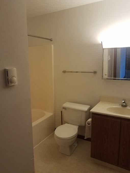 A white toilet sits next to a sink in a small bathroom.