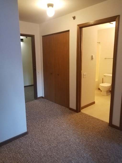 A bathroom with a toilet and a wooden door.