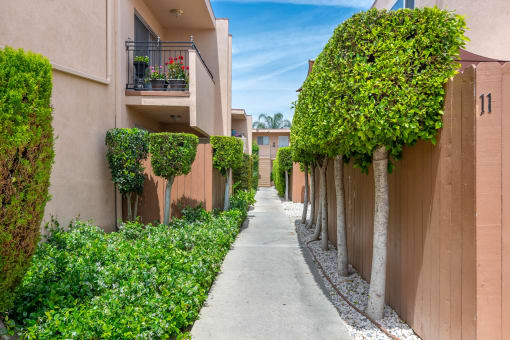 Interior walkways